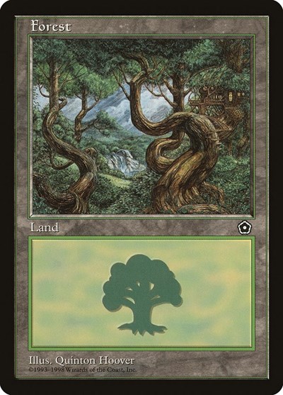 Forest (151)