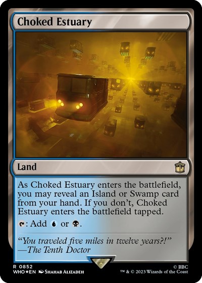 Choked Estuary (Surge Foil)