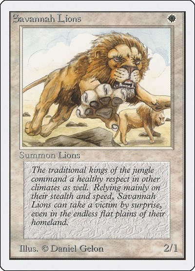 Savannah Lions